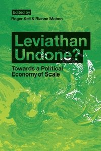 bokomslag Leviathan Undone?