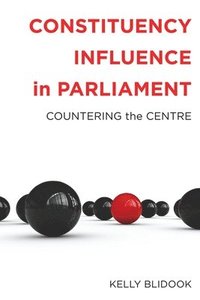 bokomslag Constituency Influence in Parliament