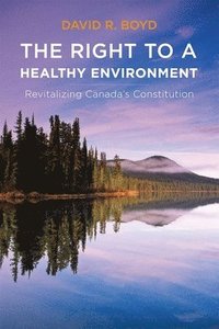 bokomslag The Right to a Healthy Environment