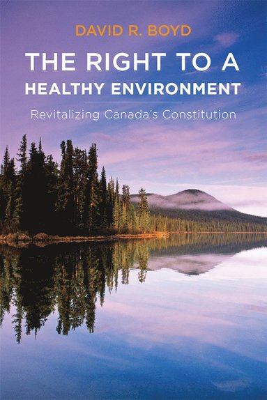 bokomslag Right to a Healthy Environment