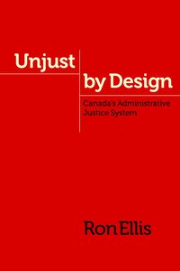 bokomslag Unjust by Design