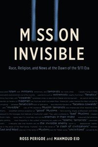 bokomslag Mission Invisible