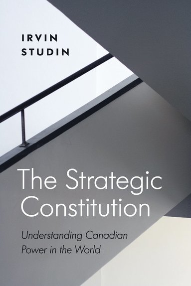 bokomslag Strategic Constitution