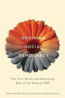 bokomslag Reviving Social Democracy