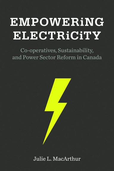 bokomslag Empowering Electricity