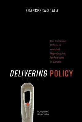 bokomslag Delivering Policy