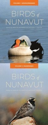 bokomslag Birds of Nunavut