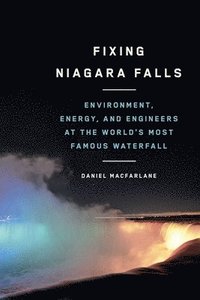 bokomslag Fixing Niagara Falls