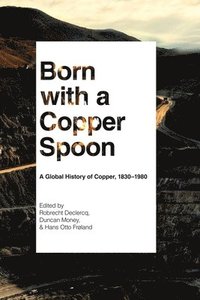 bokomslag Born with a Copper Spoon