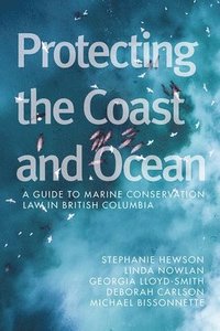 bokomslag Protecting the Coast and Ocean