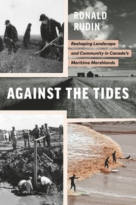 bokomslag Against the Tides