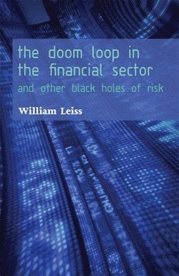 bokomslag Doom Loop in the Financial Sector