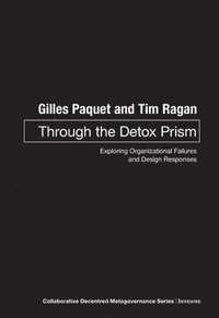 bokomslag Through the Detox Prism