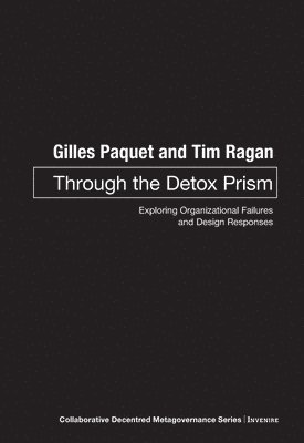 bokomslag Through the Detox Prism
