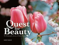 bokomslag Quest for Beauty: The Photographic Journey of Malak of Ottawa