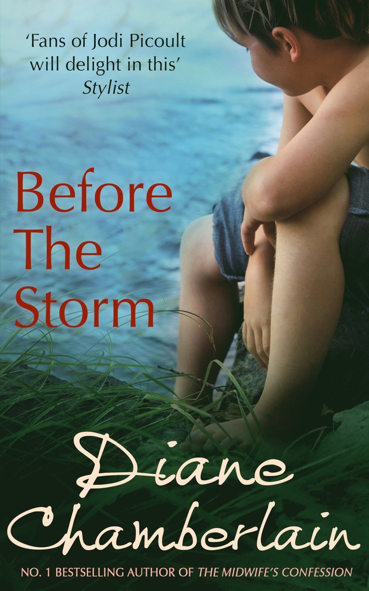 Diane Chamberlain - Before The Storm, Häftad