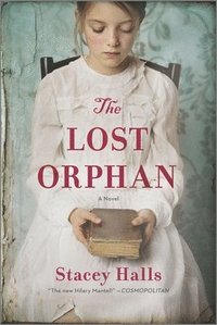 bokomslag The Lost Orphan