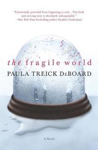 bokomslag Fragile World Original/E