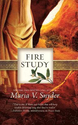 Fire Study