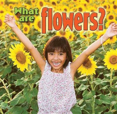 Kelley MacAulay - What are Flowers, Häftad