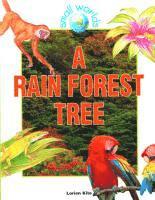 Lorien Kite - Rain Forest Tree, Inbunden