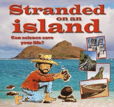 Gerry Bailey - Stranded on an Island, Häftad