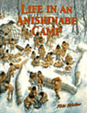 bokomslag Life in an Anishinabe Camp