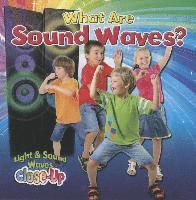 bokomslag What are Sound Waves?
