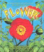 Life Cycle of the Flower