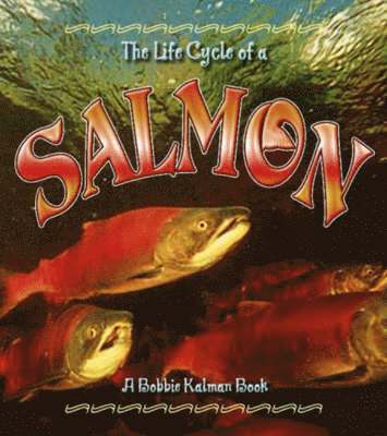 Kelley MacAuley, Bobbie Kalman - Life Cycle of the Salmon, Häftad