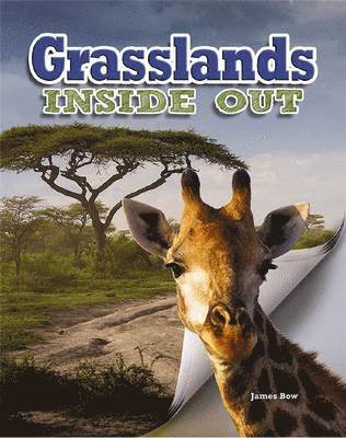 James Bow - Grasslands, Häftad