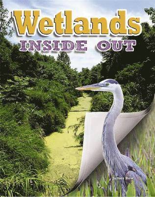 James Bow - Wetlands, Häftad