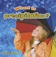 bokomslag What Is Precipitation?
