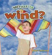 bokomslag What is wind?