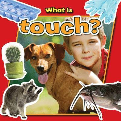 What is Touch? 1