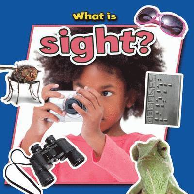 What is Sight? 1