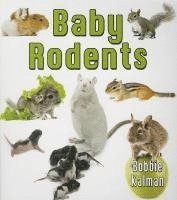 bokomslag Baby Rodents