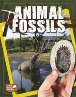 bokomslag Animal Fossils