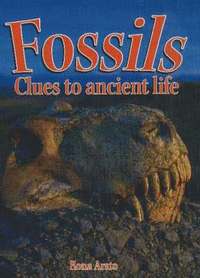 bokomslag Fossils