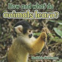 bokomslag How and What Do Animals Learn