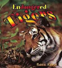 bokomslag Endangered Tigers