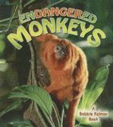 bokomslag Endangered Monkeys