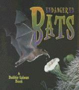 bokomslag Endangered Bats