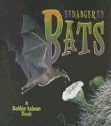 Endangered Bats 1