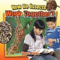 bokomslag How Do Insects Work Together?