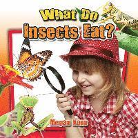 What Do Insects Eat? 1