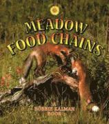 bokomslag Meadow Food Chains