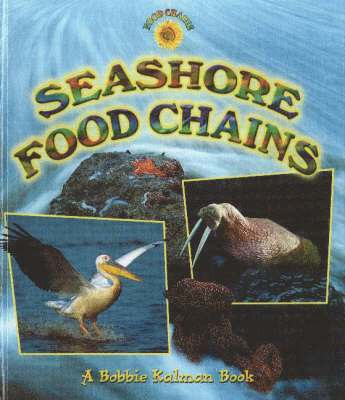 Seashore Food Chains 1