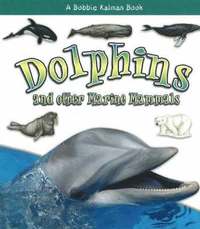 bokomslag Dolphins and other Marine Mammals