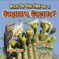 Megan Kopp - What Do You Find on a Saguaro Cactus?, Inbunden. Tillgänglighet: Lägg i varukorg